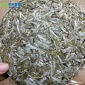 2018新茶白毫银针白茶饼厂家 早春茶叶一饼300g装批发白茶饼