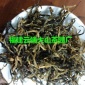 春茶金骏眉茶叶 福建福安金骏眉茶叶 下乡的味道寿宁高山茶厂家