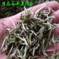 福建白茶白毫银针 寿宁白茶头春单芽茶叶 白针散装 500g装