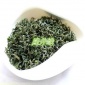 隆井缘 批发云雾茶 香茶 日照绿茶 三杯香茶叶 新茶绿茶春茶炒青