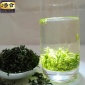贵州茶叶2017新茶有机茶 浓栗香印江梵净山毛峰绿茶250克散装批发