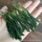 太平猴魁特级2017新茶手工绿茶茶叶春茶散装办公茶 厂家批发