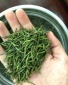 2019新茶竹叶青 竹针 青针 批发销售竹心