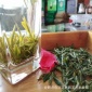 庐韵茗茶2019新茶霍山黄芽包退包换霍山县早茶高山明前健康茶