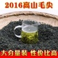 茶叶绿茶2016年新茶散装英山云雾高山毛尖产自产自销500克