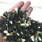 酒店**茉莉花茶 特级茉莉花茶 便宜的茉莉茶叶 厂家茉莉茶