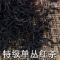 红茶味的乌龙茶凤凰单丛红茶 凤凰单枞茶 岭头金单樅茶单从茶产地