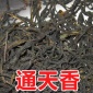 潮州凤凰单丛茶 通天香单枞茶 姜花香 醇香型单从茶 自产自销批发