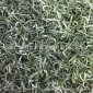 2019年新茶 南漳绿茶 翠豪 味香耐泡高山绿茶 精品超市茶叶批发