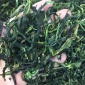 2019抽湿凤凰单枞 香 单枞茶凤凰单丛单从茶抽湿茶清香 春茶500G