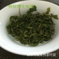 2015高山云雾野生绿茶福建香茶炒青 春茶散装有机小茶绿茶批发价