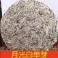 普洱茶七子饼单芽月光白美人茶古树纯料白毫生茶单芽357g大货批发
