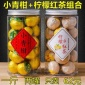 柠檬菊柠檬红茶小柠红柠菊滇红茶小青柑纯料青皮普洱茶500g二罐装