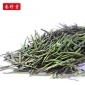 产地货源雨前雀舌茶 卷舒堂雀舌袋装 四川特产绿茶茶叶散装批发