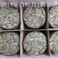 厂家高山白牡丹福鼎的白茶 福建茶叶批发白牡丹茶饼老白茶