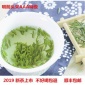 2019新茶现货开化龙顶茶特级明前花香型500g春茶茶叶绿茶自产自销