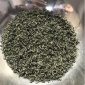 新茶 2019春茶 浓香型稥绿茶 大量批发厂家