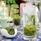 2019新茶上市（螺丝壳牌）都匀毛尖高山明前茶珍品 条形装 120g