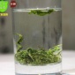 产地家 散装批发 贵州绿茶叶 特级梵净山毛峰 有机富硒茶叶