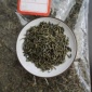 湖北恩施绿茶批发，原产地，高山有机富硒茶，栗香甘甜，**