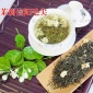 批发茉莉花茶 新款雅安选芯茉莉花茶 特级花茶茶叶厂家
