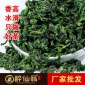 安溪铁观音茶叶 1200米高山消青做工香气高纯口感顺滑 醉仙翁